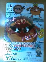 �g���t�B�J���J�[�h