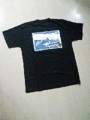 �k��T�V���c1